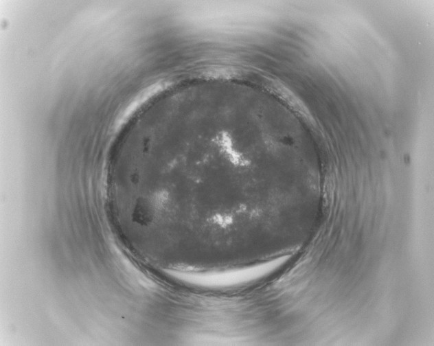 X0000088880722200706221814