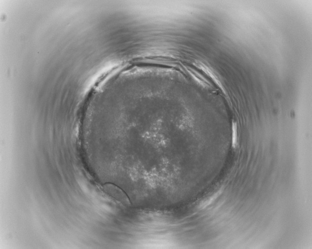 X0000088880723200706221814