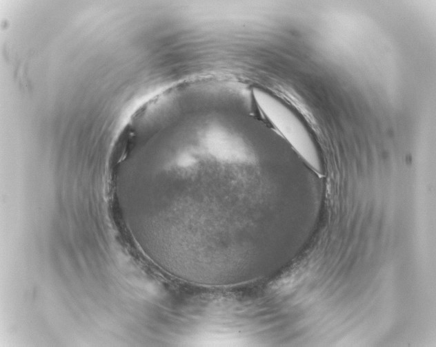 X0000088880724200706221814