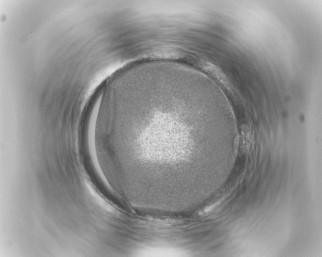 X0000088880726200706221814