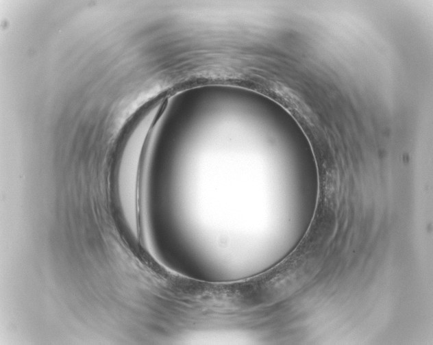 X0000088880727200706221814