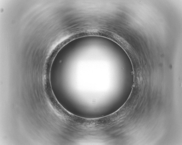 X0000088880728200706221814