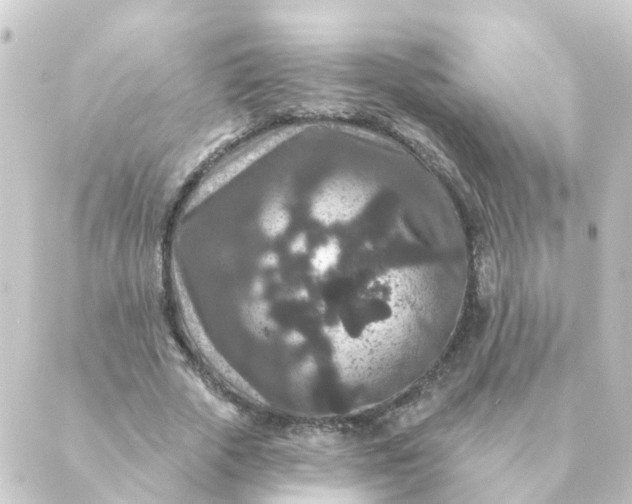 X0000088880729200706221814