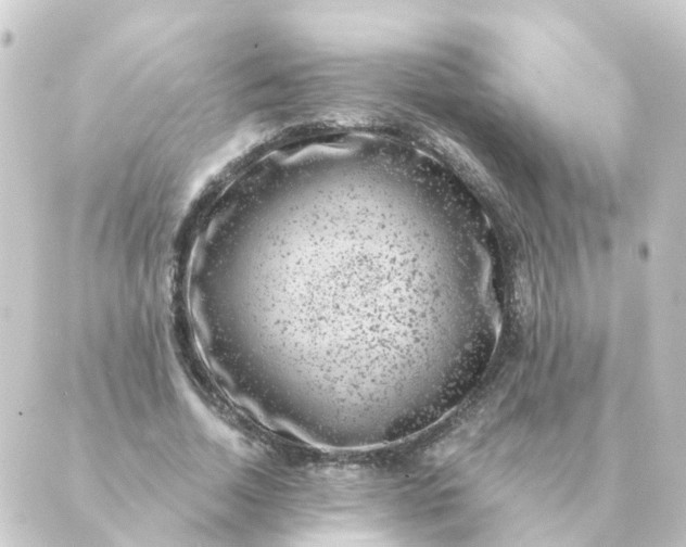 X0000088880730200706221814