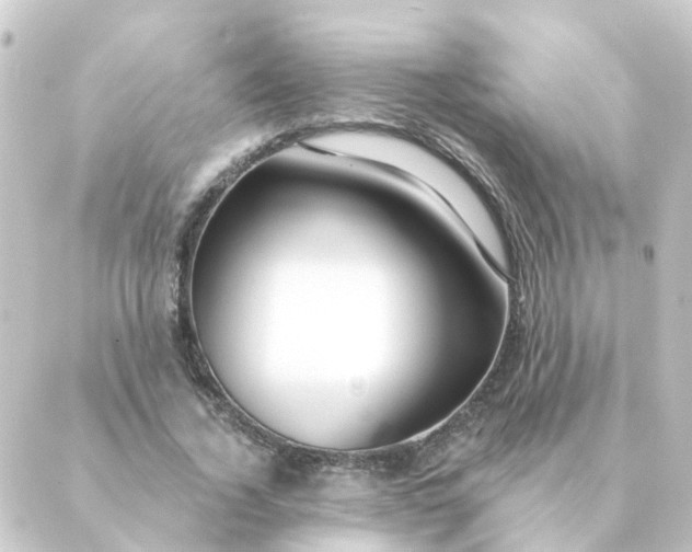 X0000088880732200706221814