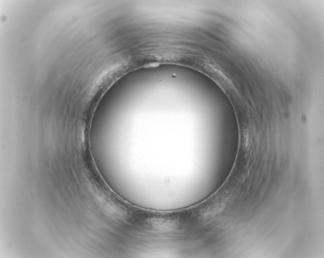 X0000088880733200706221814