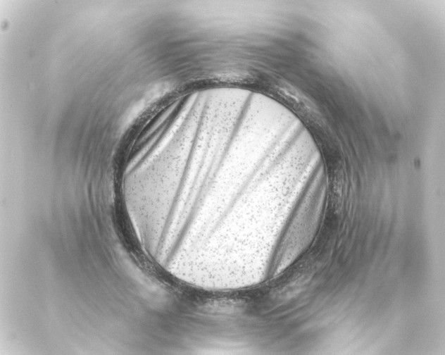 X0000088880734200706221814