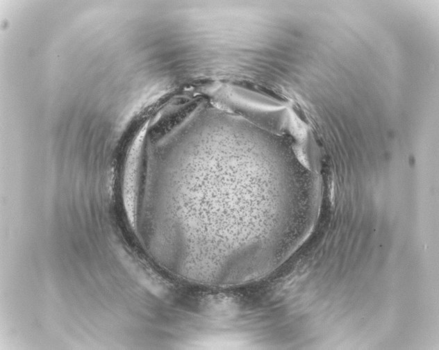 X0000088880735200706221814