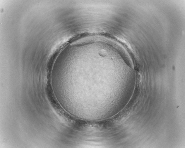 X0000088880736200706221814