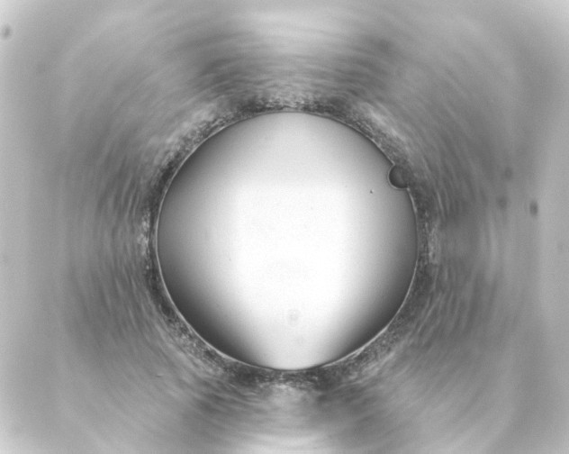 X0000088880737200706221814