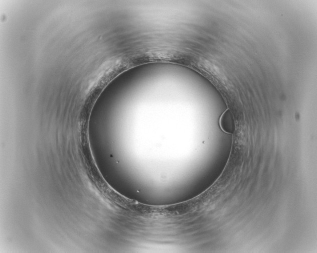 X0000088880738200706221814