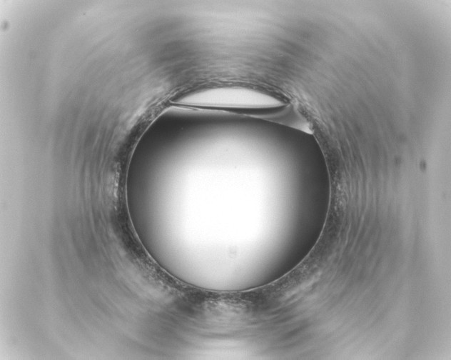 X0000088880739200706221814