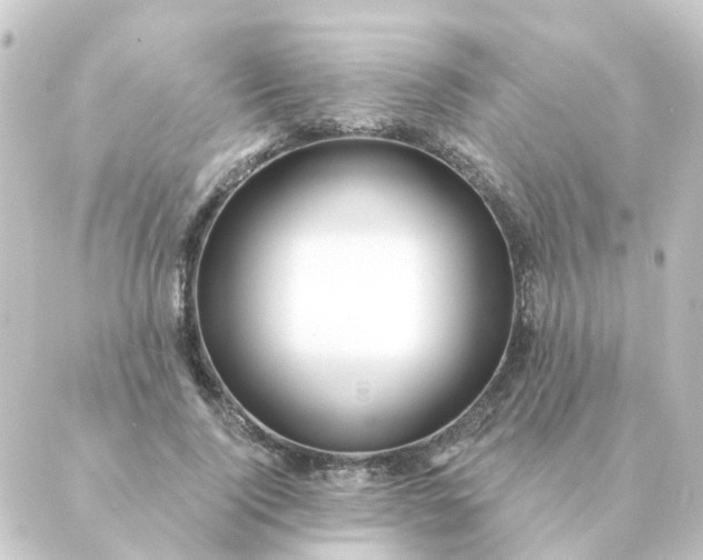 X0000088880740200706221814