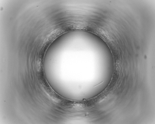 X0000088880741200706221814