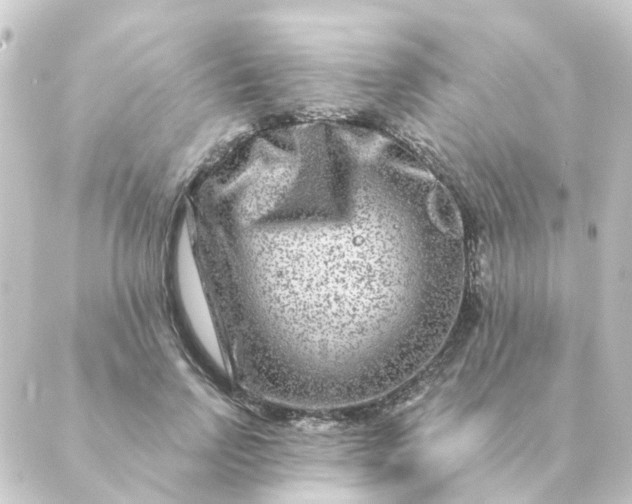 X0000088880742200706221814