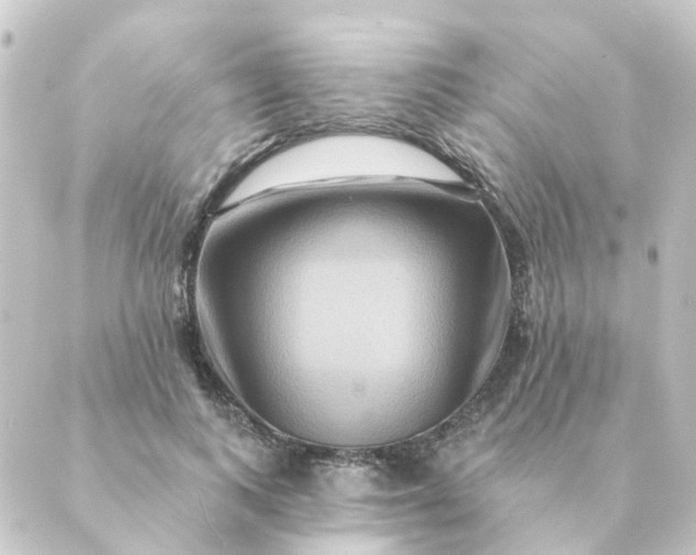 X0000088880743200706221814