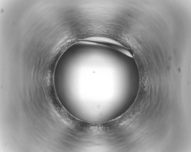 X0000088880744200706221814