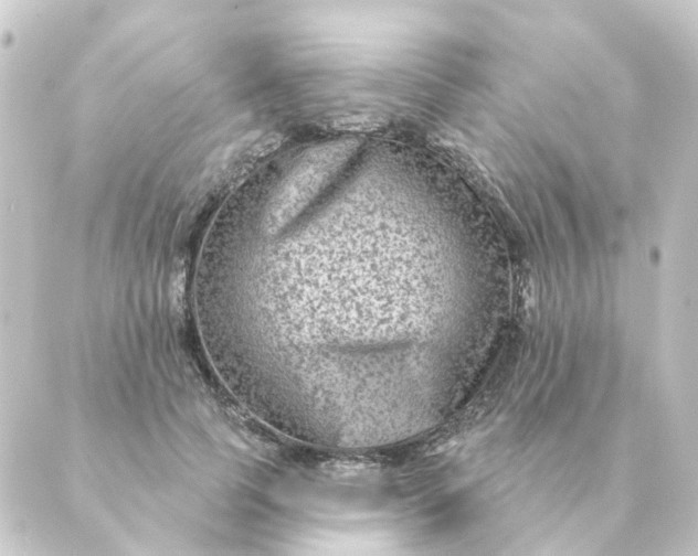 X0000088880745200706221814