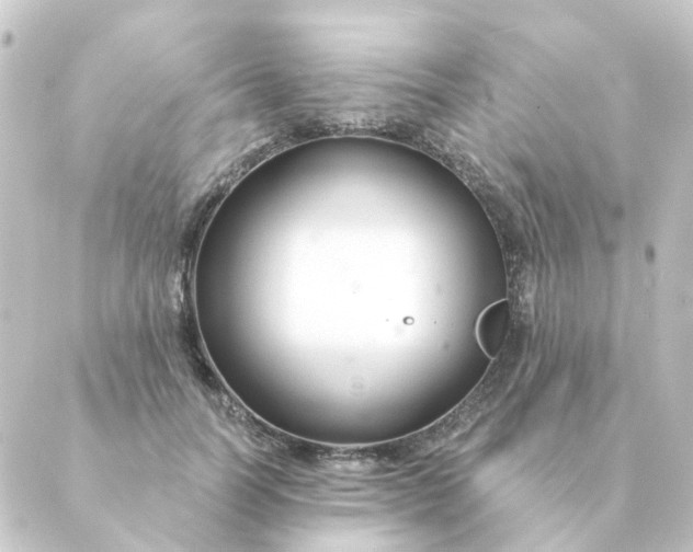 X0000088880746200706221814