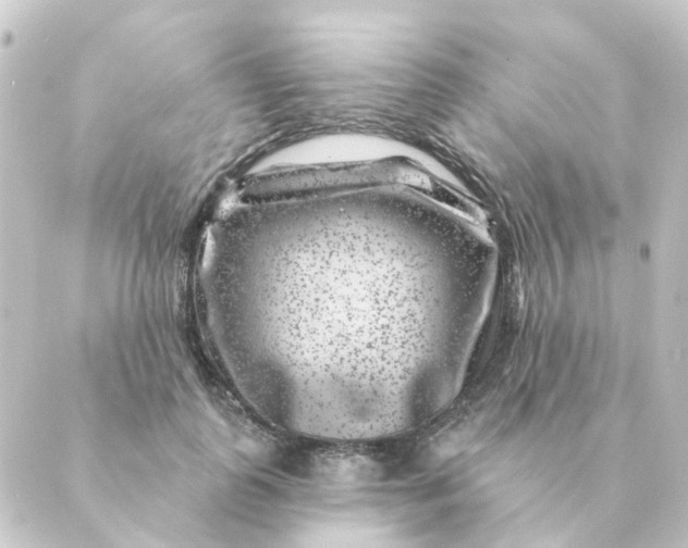 X0000088880747200706221814