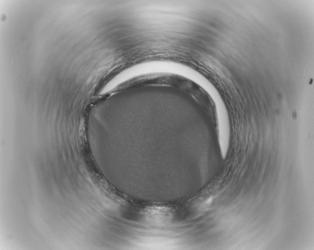 X0000088880748200706221814