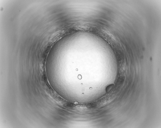 X0000088880749200706221814