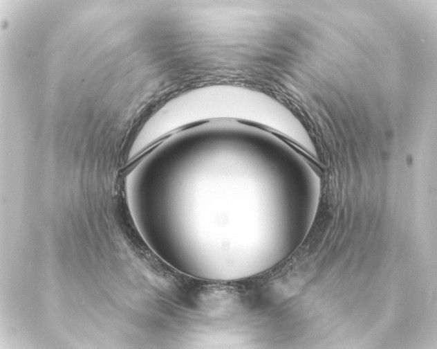 X0000088880750200706221814