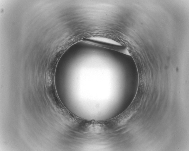 X0000088880751200706221814