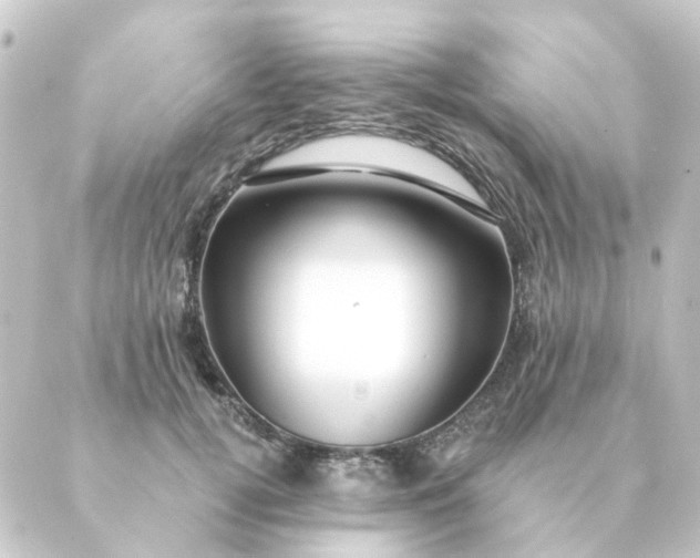 X0000088880752200706221814