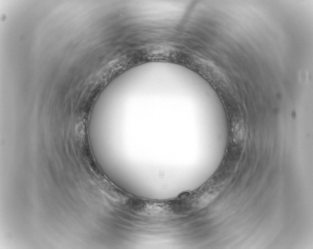 X0000088880753200706221814