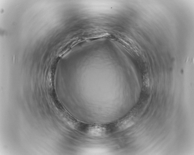 X0000088880754200706221814