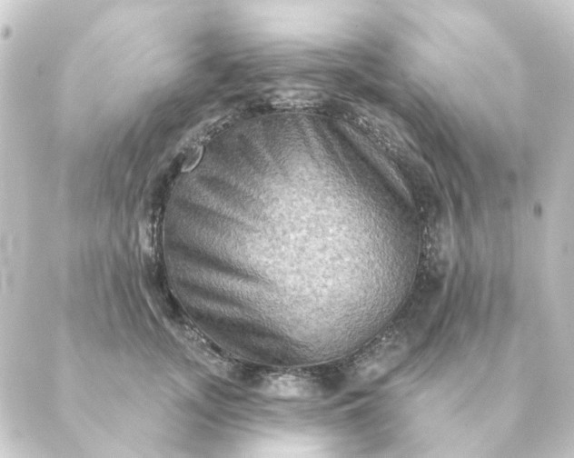 X0000088880755200706221814