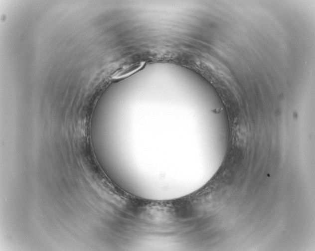 X0000088880756200706221814