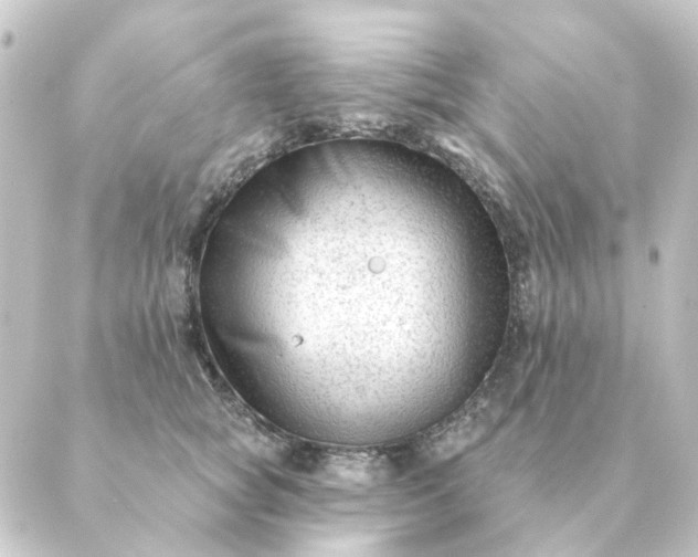 X0000088880757200706221814