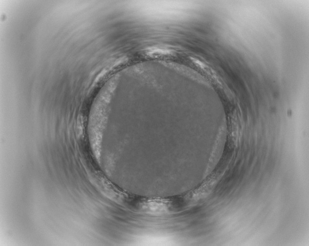 X0000088880758200706221814