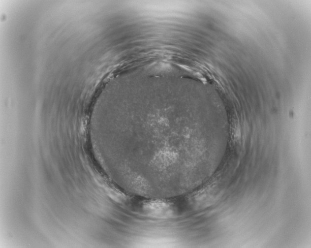 X0000088880759200706221814