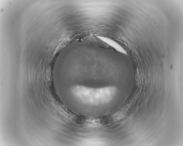 X0000088880760200706221814