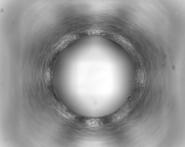 X0000088880761200706221814