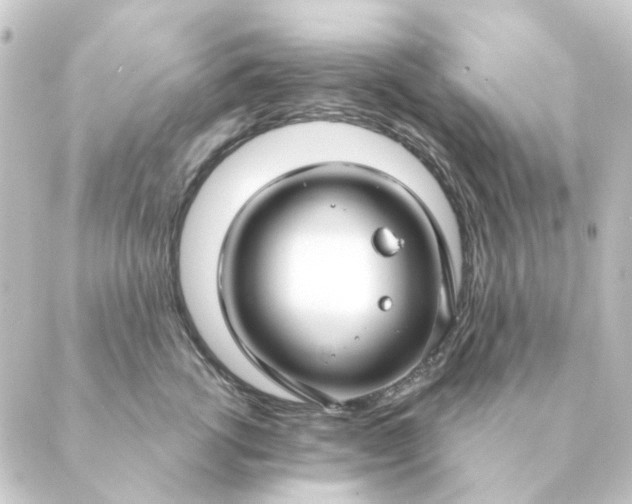 X0000088880762200706221814