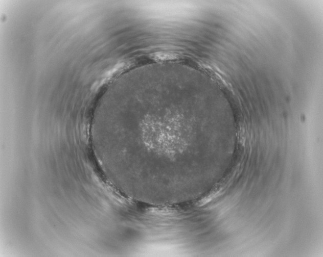 X0000088880763200706221814