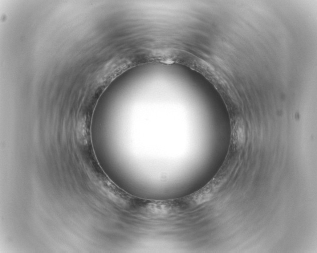 X0000088880764200706221814