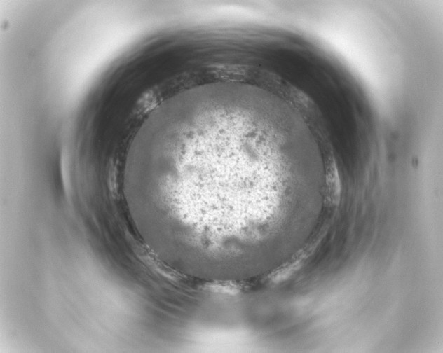 X0000088880765200706221814