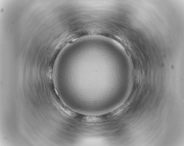 X0000088880766200706221814