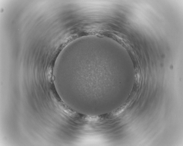 X0000088880767200706221814