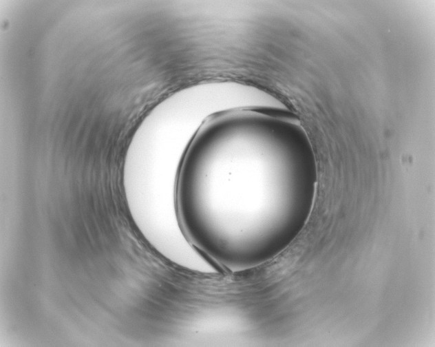 X0000088880768200706221814