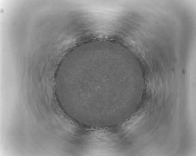 X0000088880769200706221814