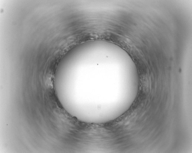 X0000088880770200706221814