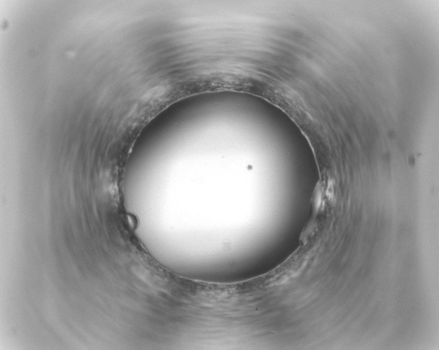 X0000088880771200706221814