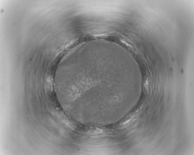 X0000088880772200706221814