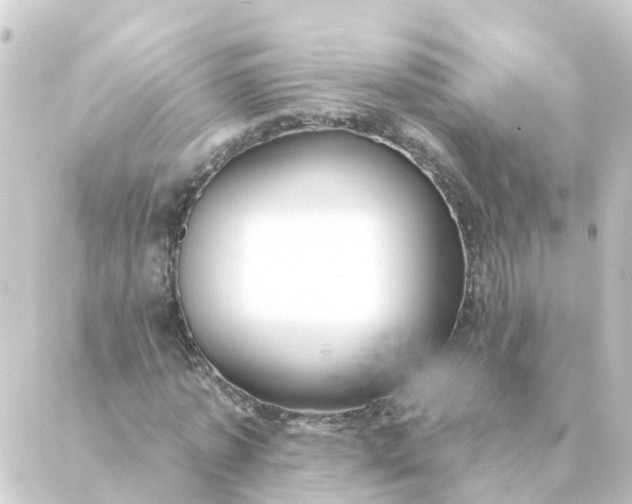 X0000088880773200706221813